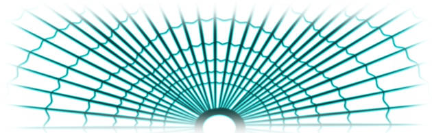 </div>